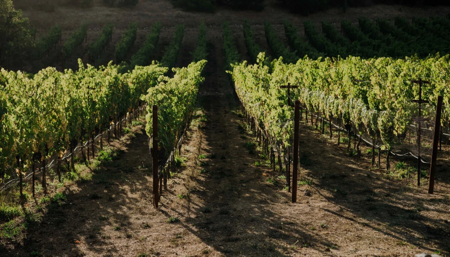 Old Soda Springs Winery, LLC