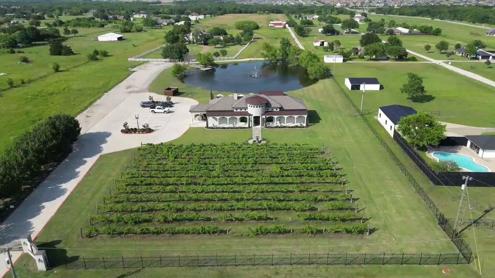 Rosini Vineyards
