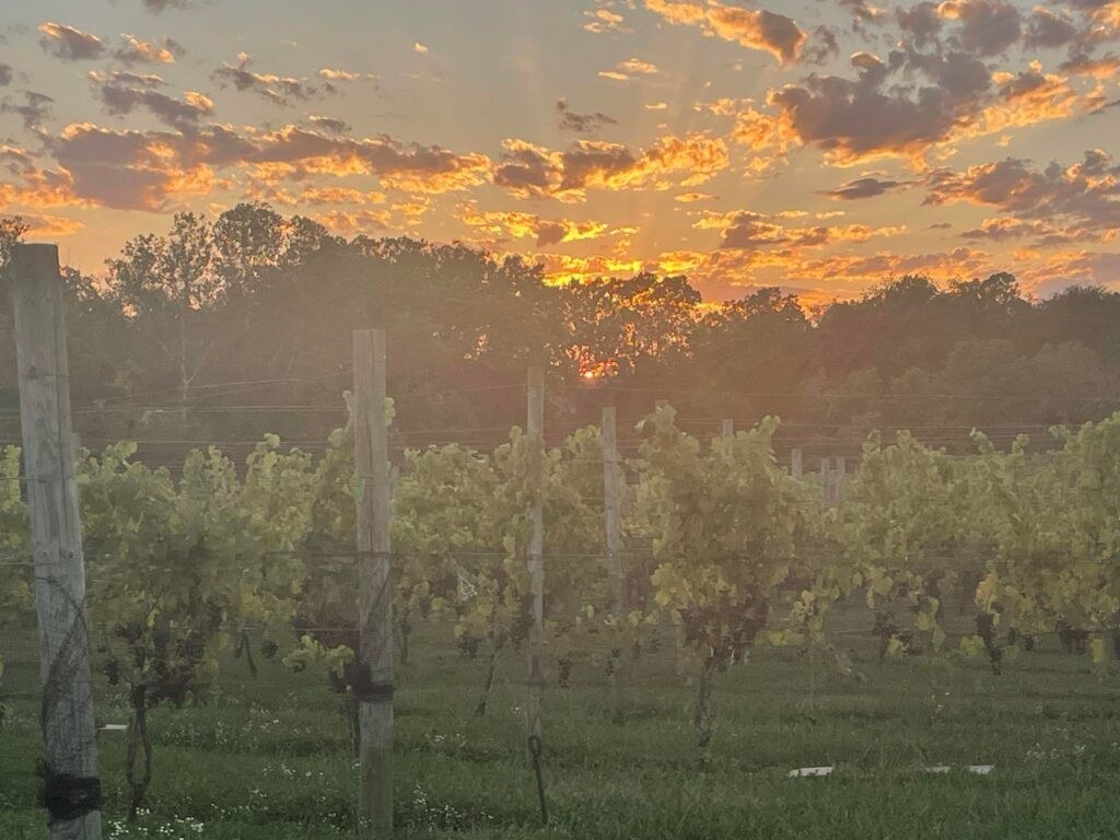 Hidden Hills Farm and Vineyard