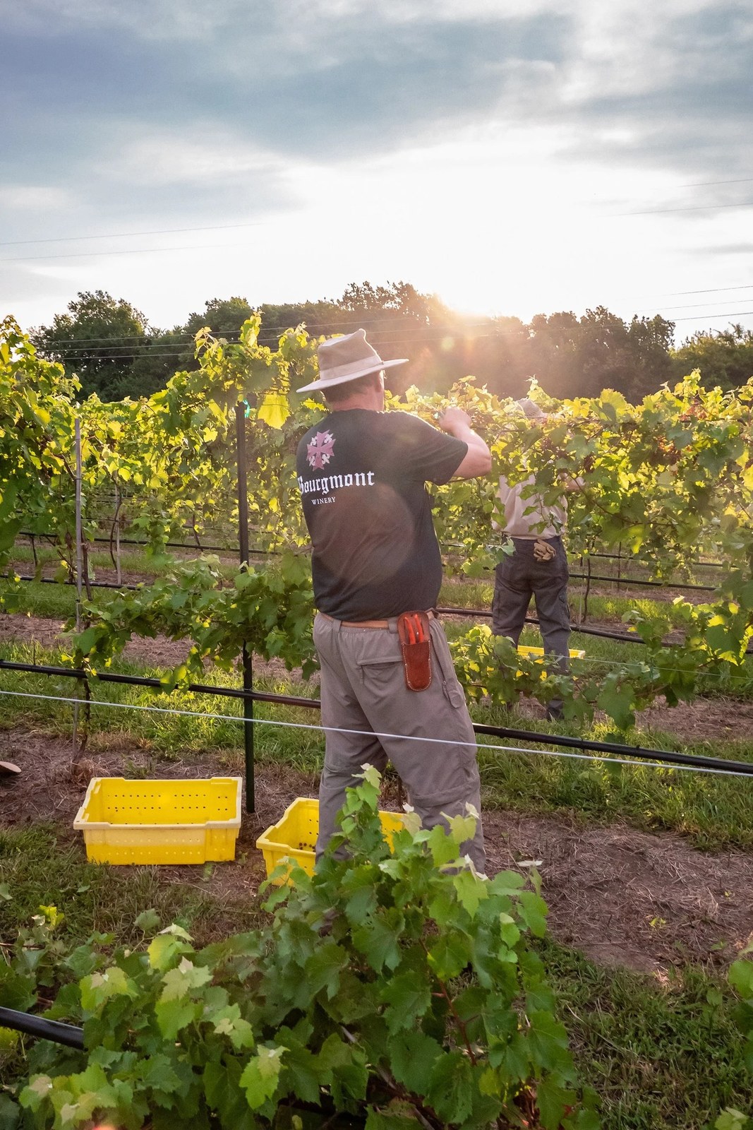 Bourgmont Winery LLC