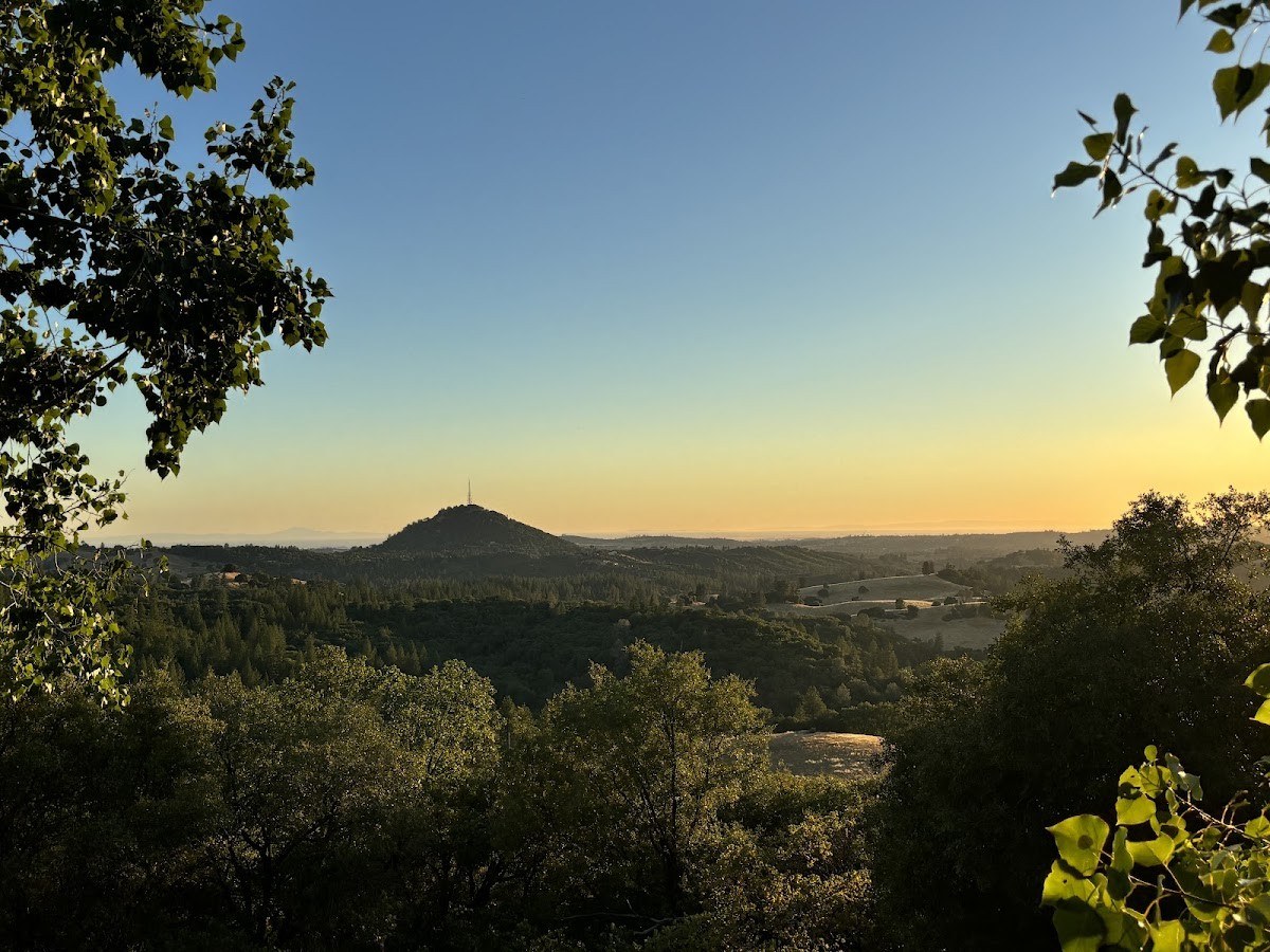 Tabeaux Cellars