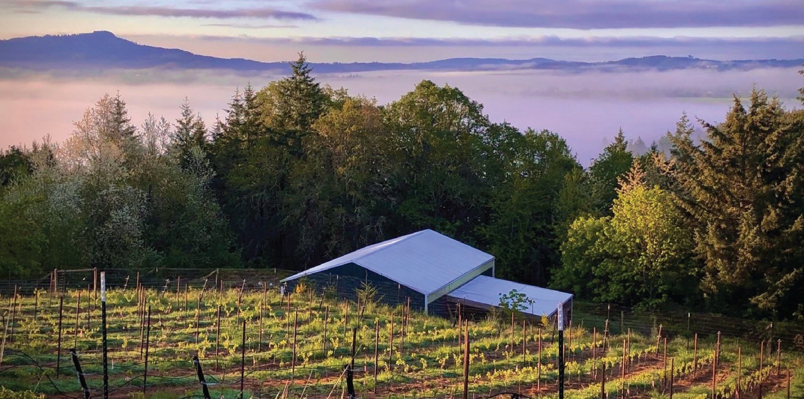 3 Goats Winery