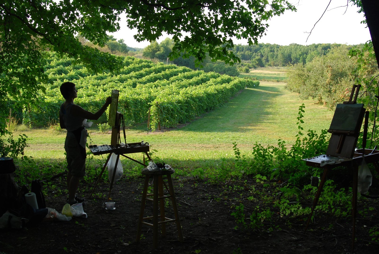Parley Lake Winery