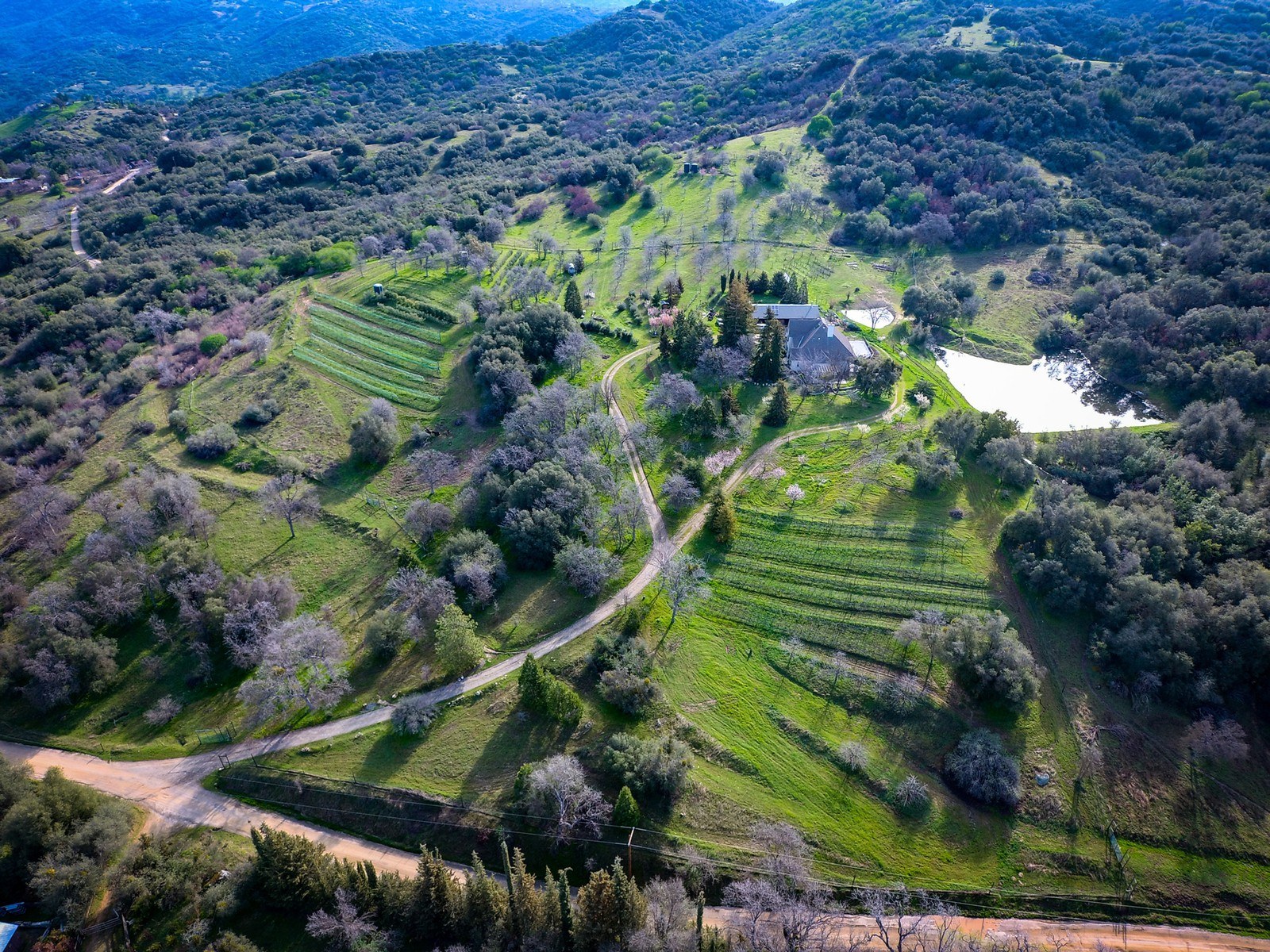Riffelhof Vineyards