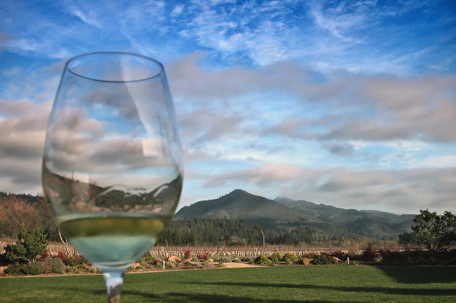 Homewood Winery