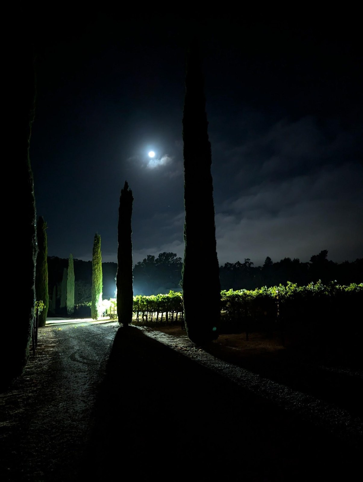 Todd Taylor Wines