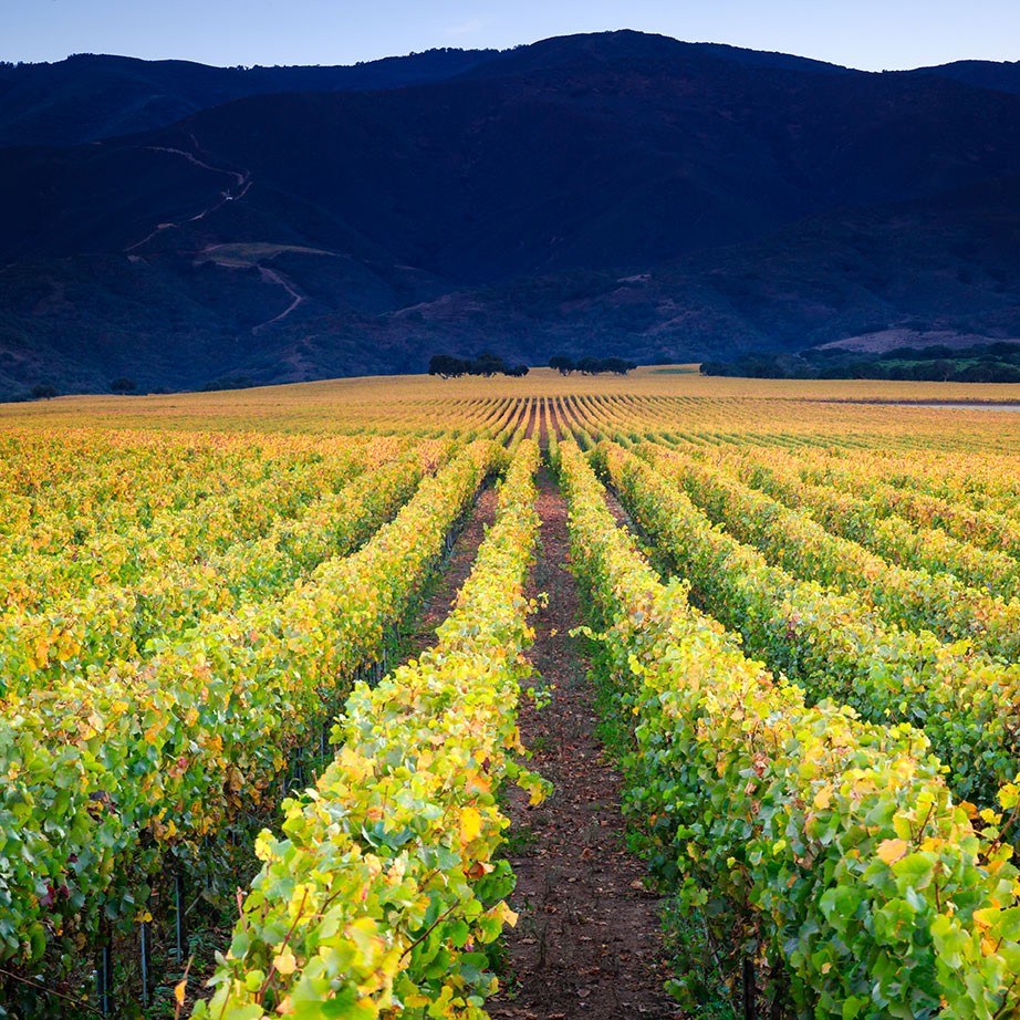 Coastal Cru Wines Inc.