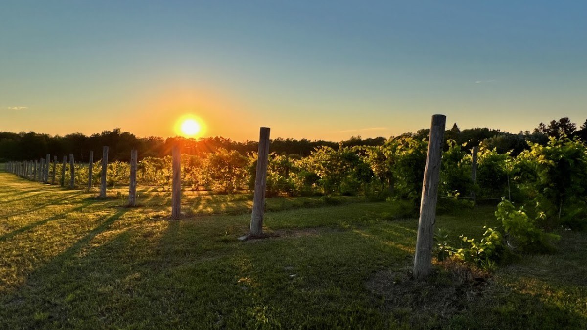 End of the Road Winery, LLC