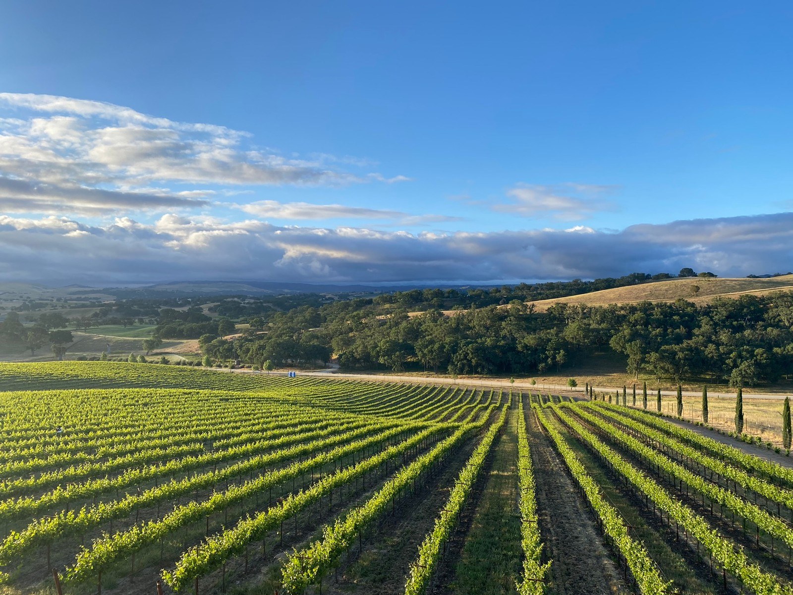 Defiance Wine
