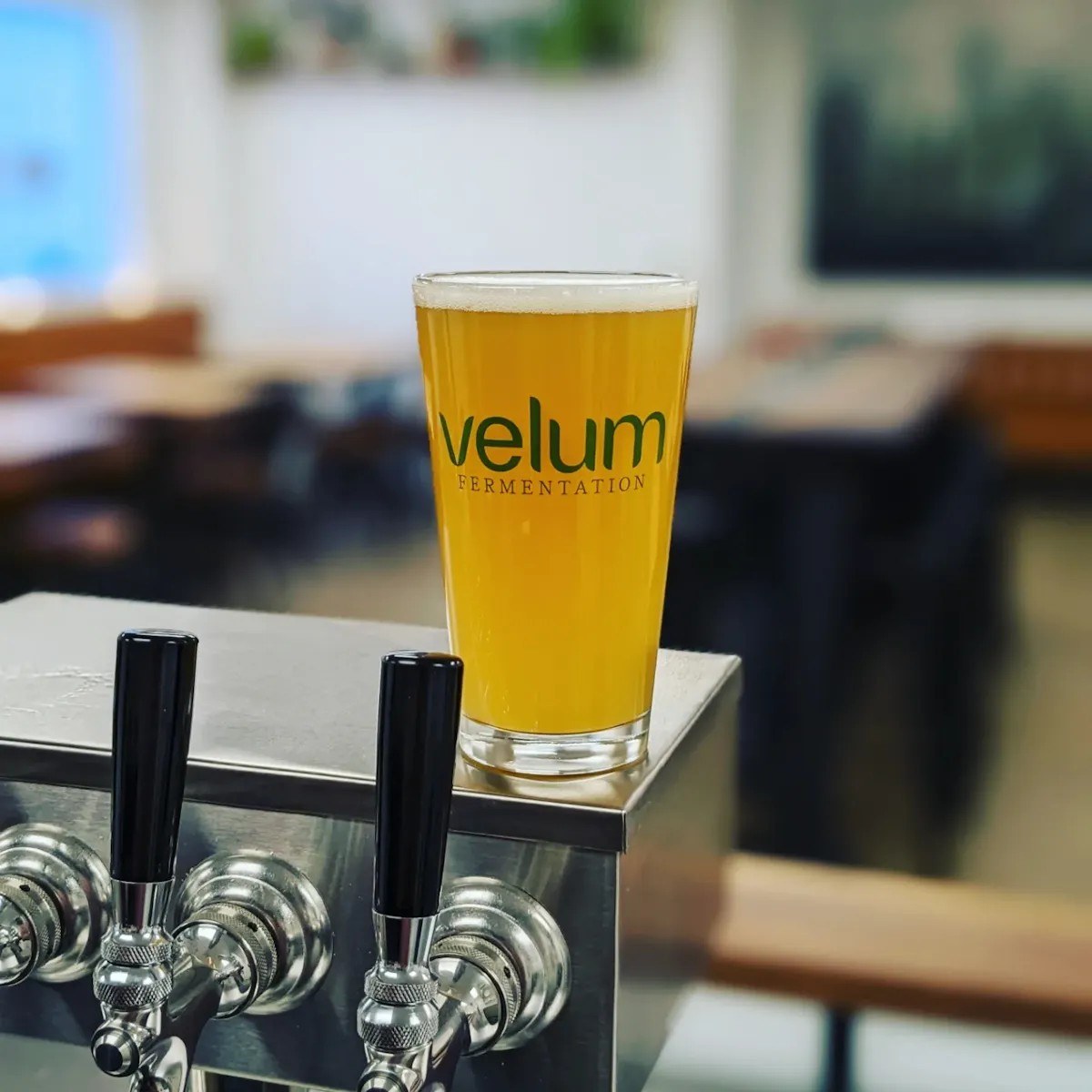 Velum Fermentation