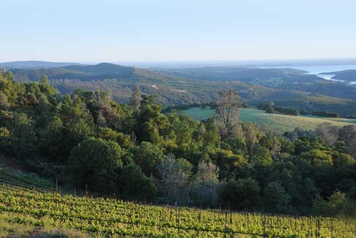 Hart 2 Hart Vineyards