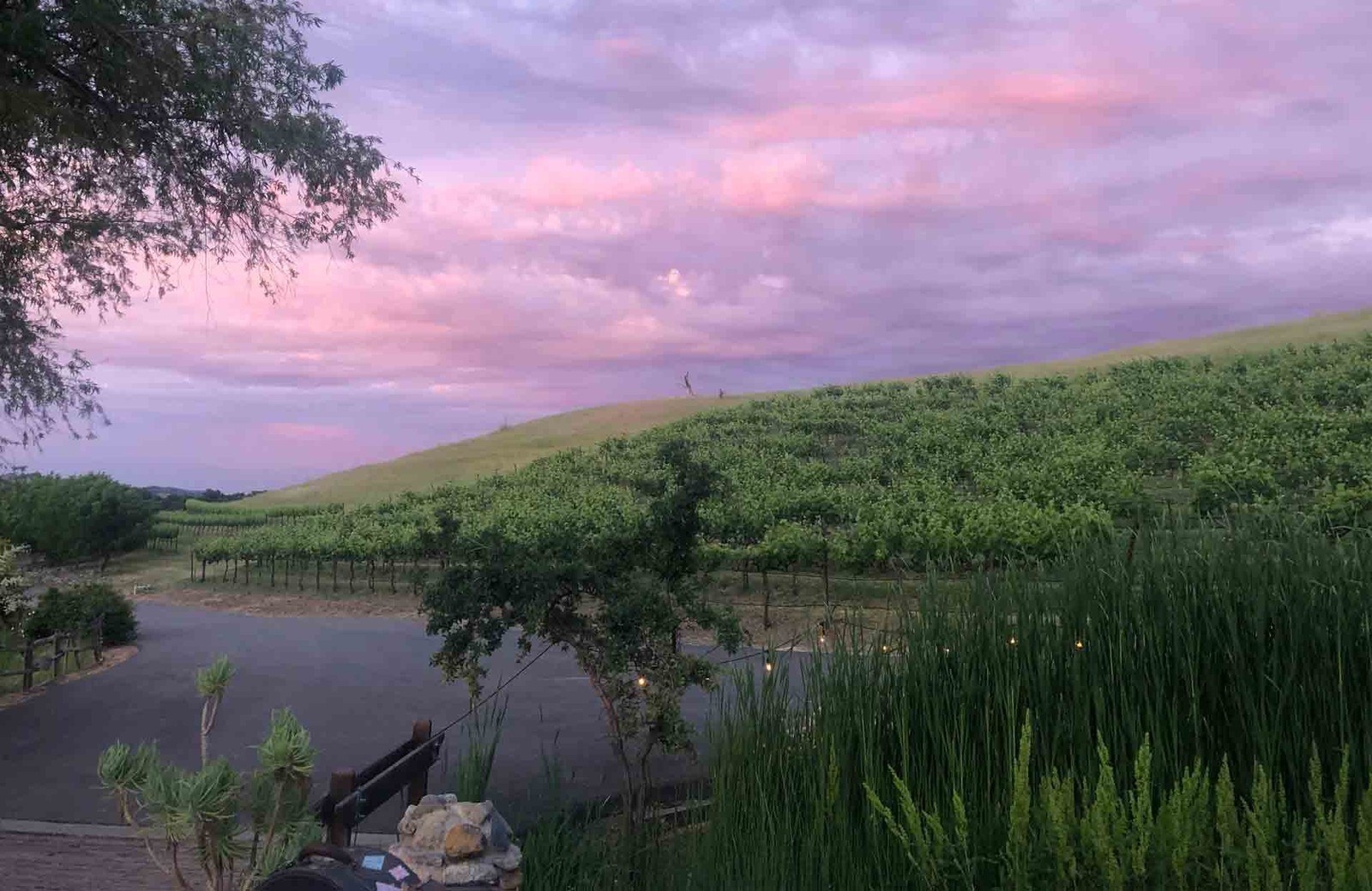 Taber Ranch Event Center