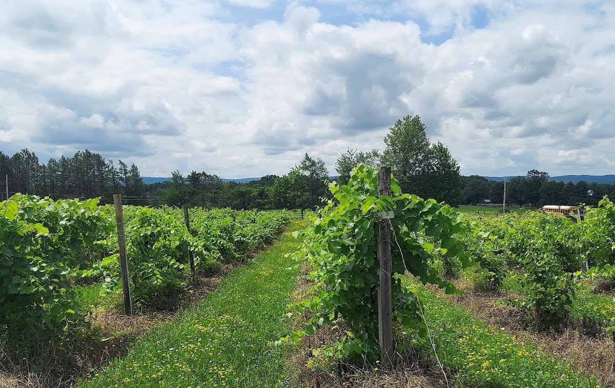 Altamont Vineyard and Winery