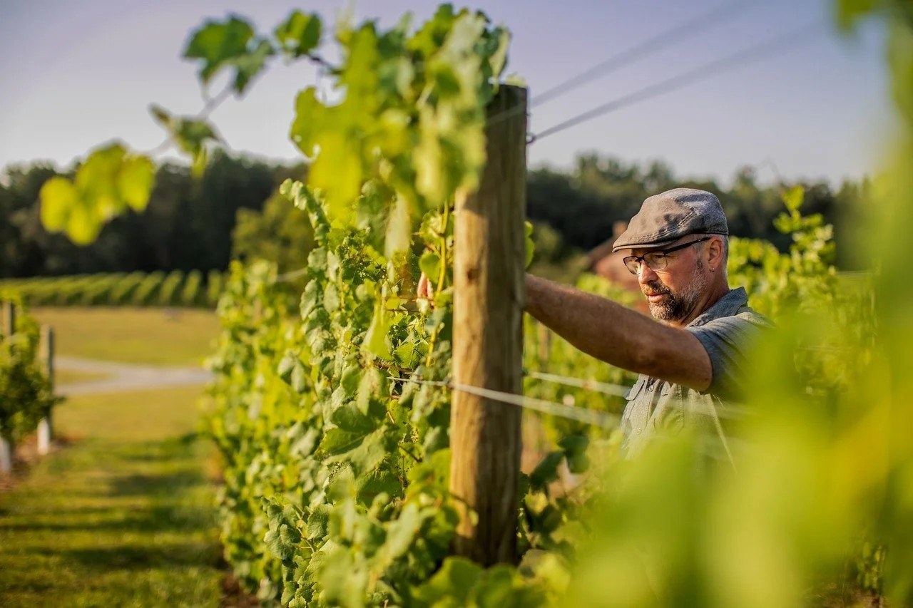 Jake Busching Wines, LLC