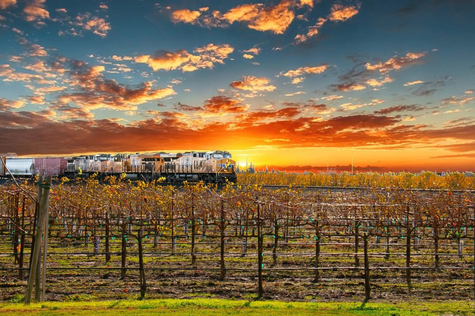 M Winery