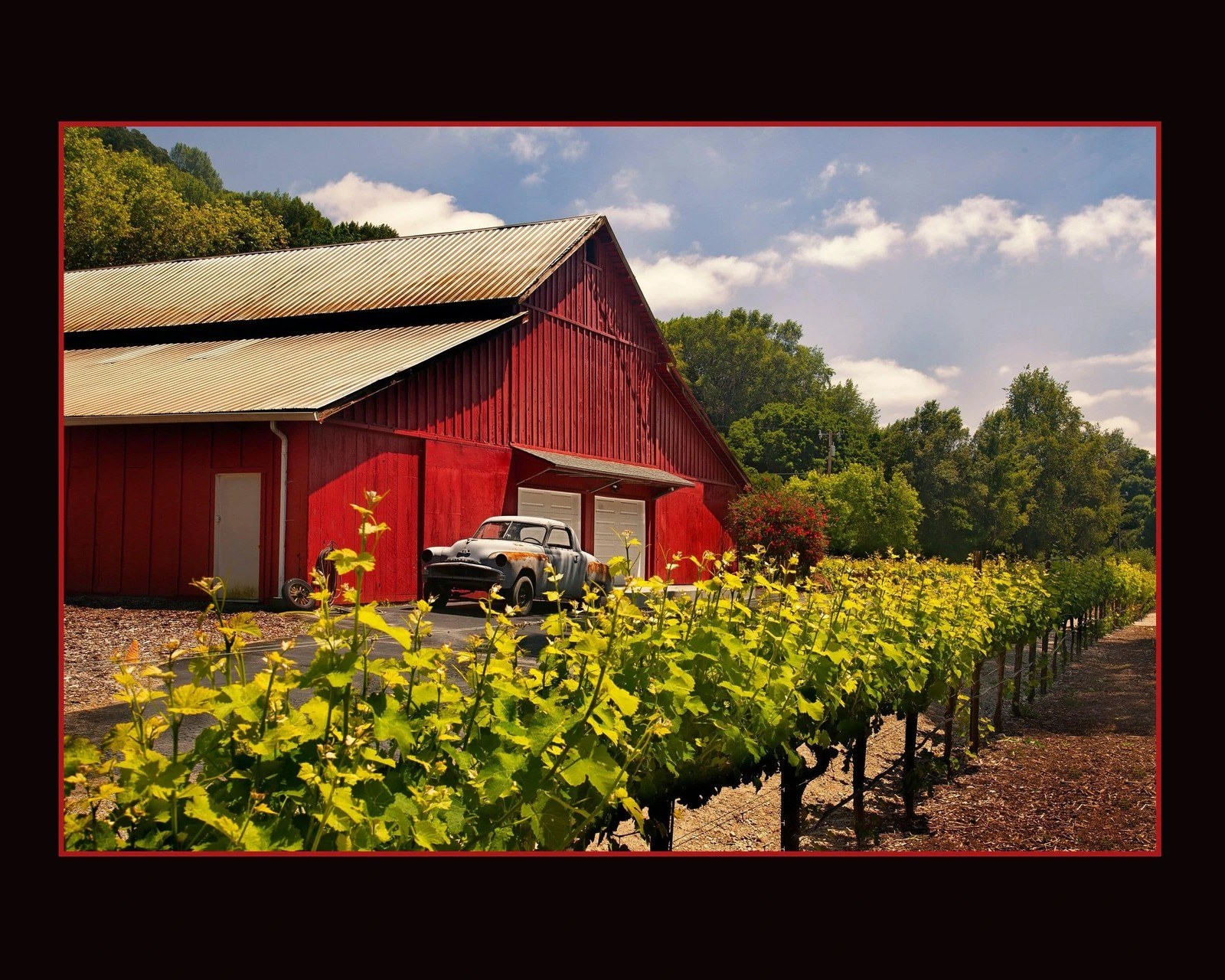 Twiningvine LLC