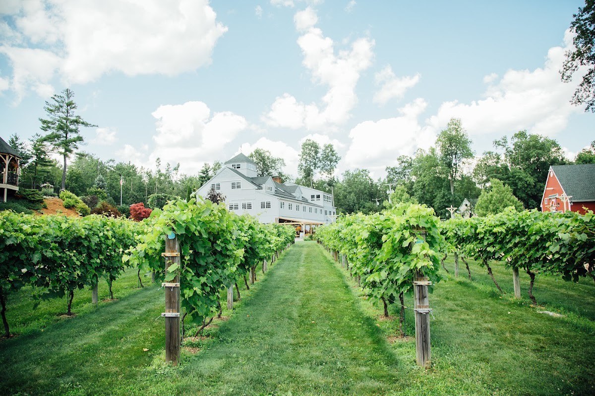 Zorvino Vineyards