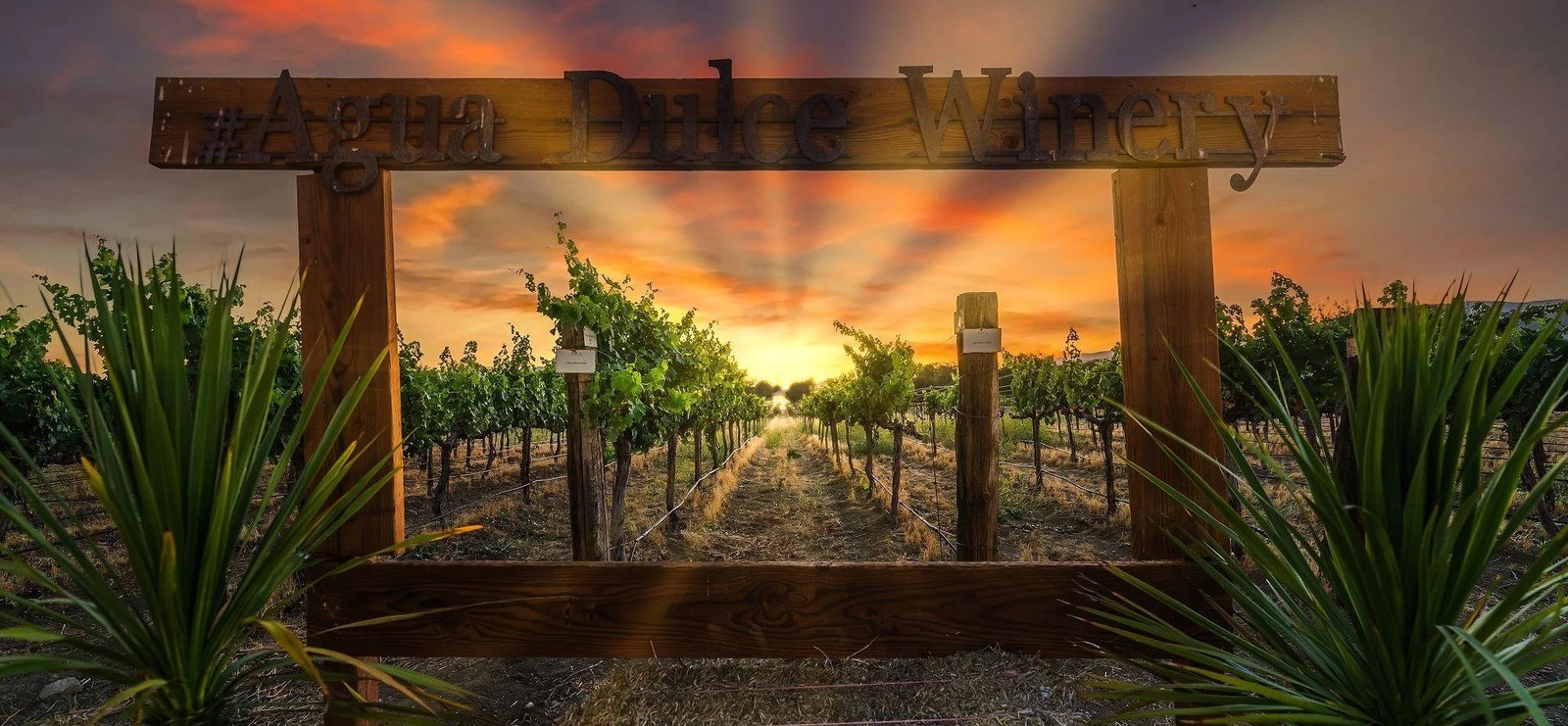 Agua Dulce Winery, LLC