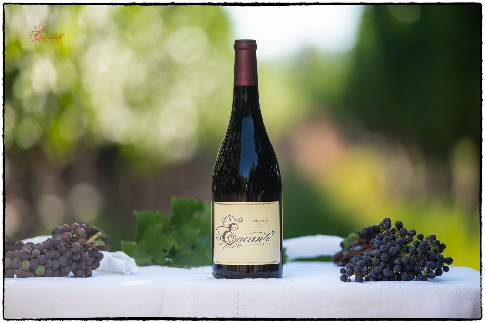 Encanto Vineyards