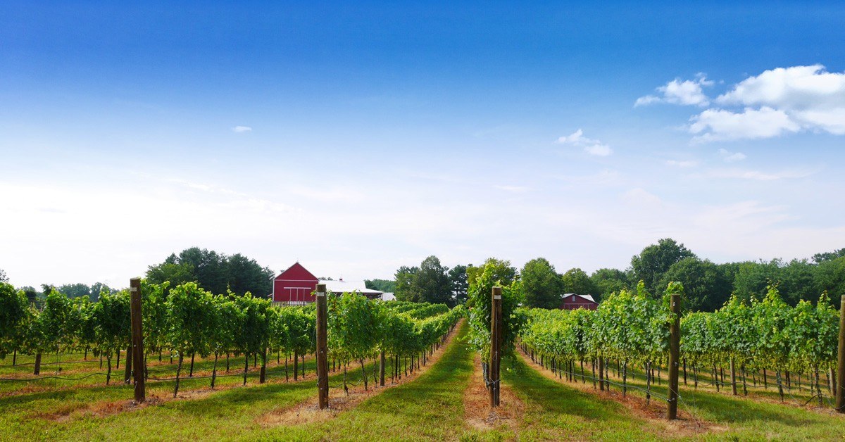 Robin Hill Farm and Vineyards, LLC