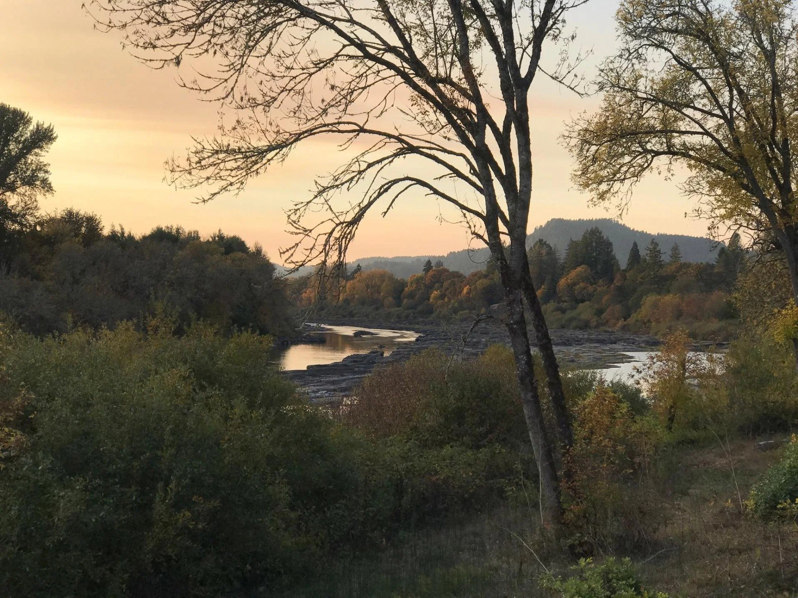 River's Edge Winery