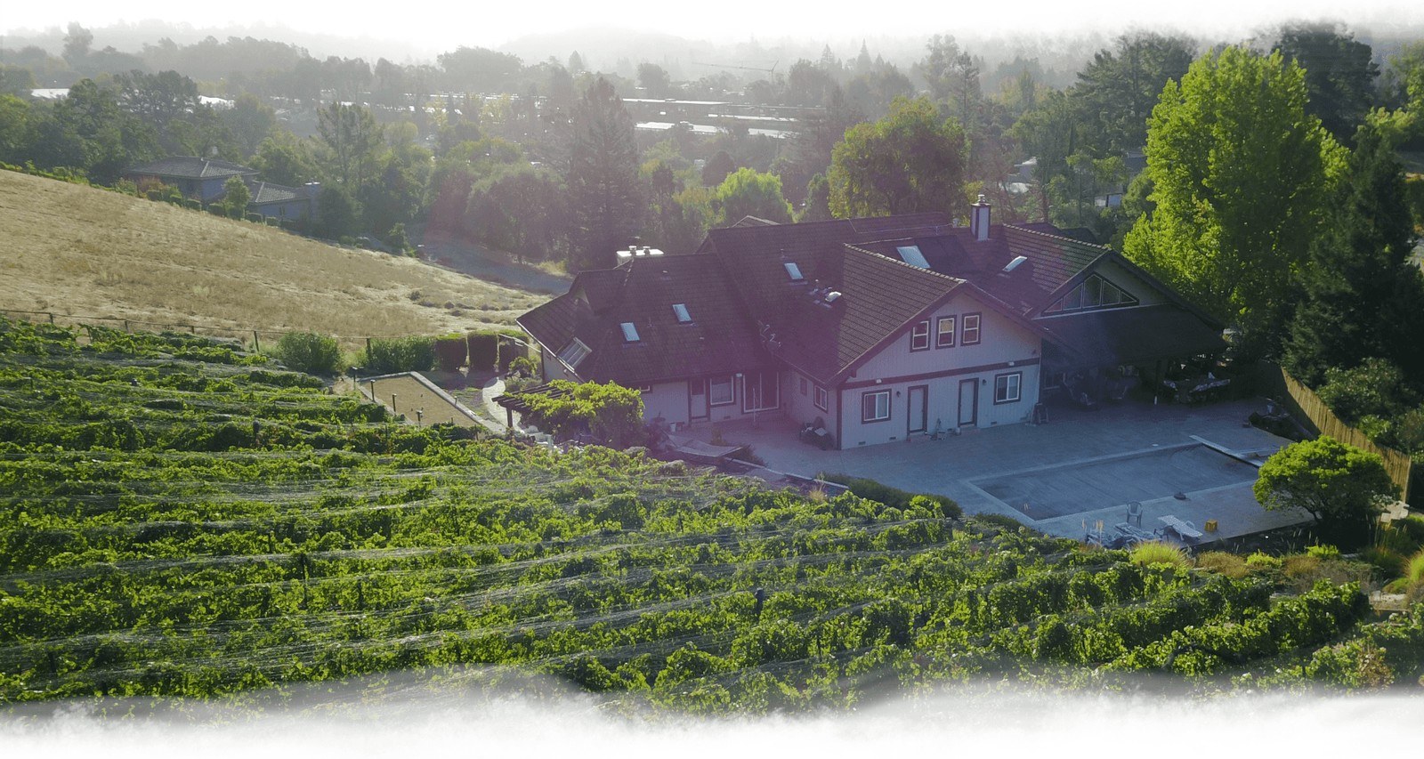 Deer Hill Vineyards