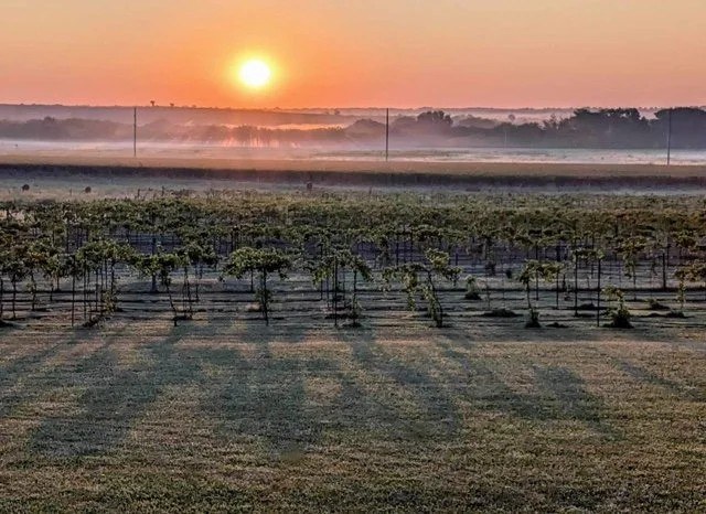 Valley Trails Winery, LLC
