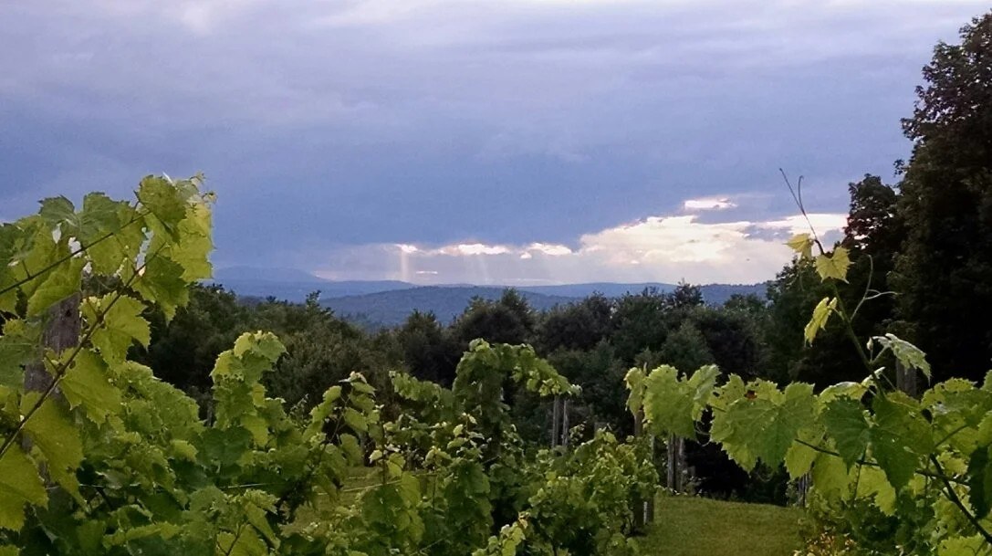 Summit Winery LLC