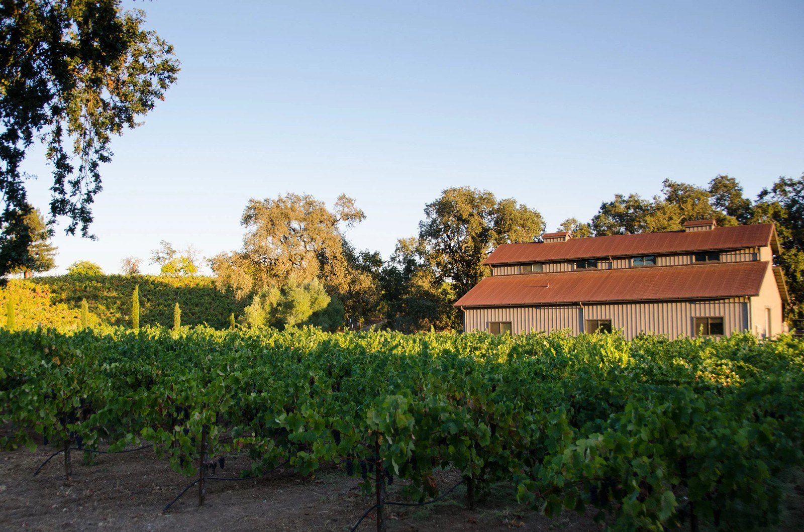 Due Ruscelli Winery