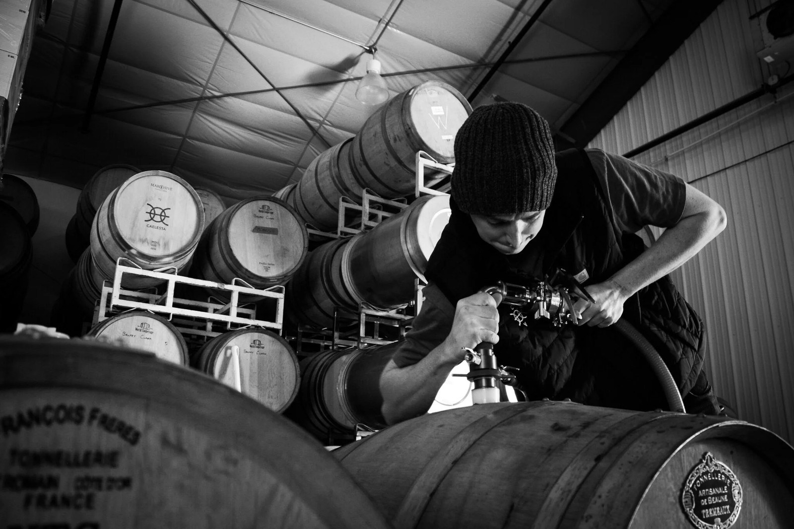 Caelesta Wines