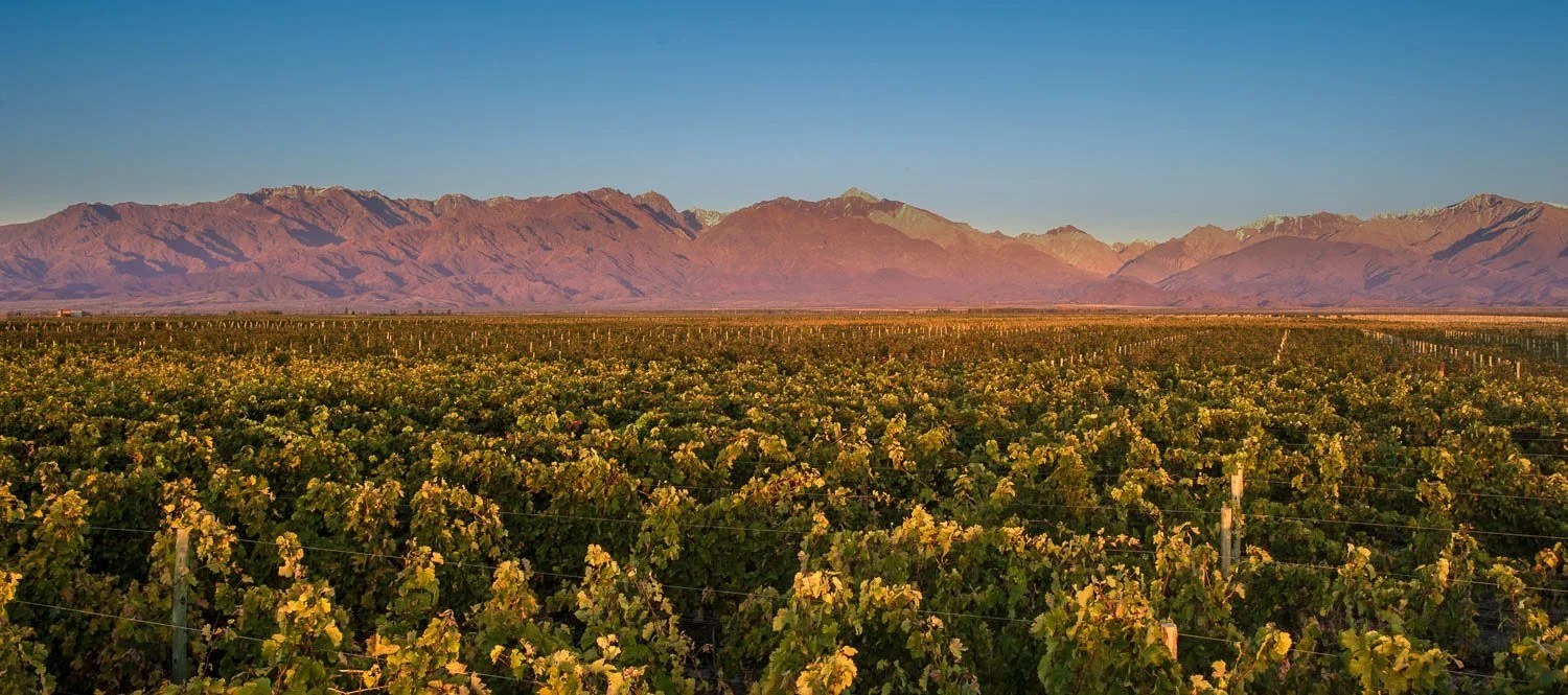 Awi Winery of Texas, LLC
