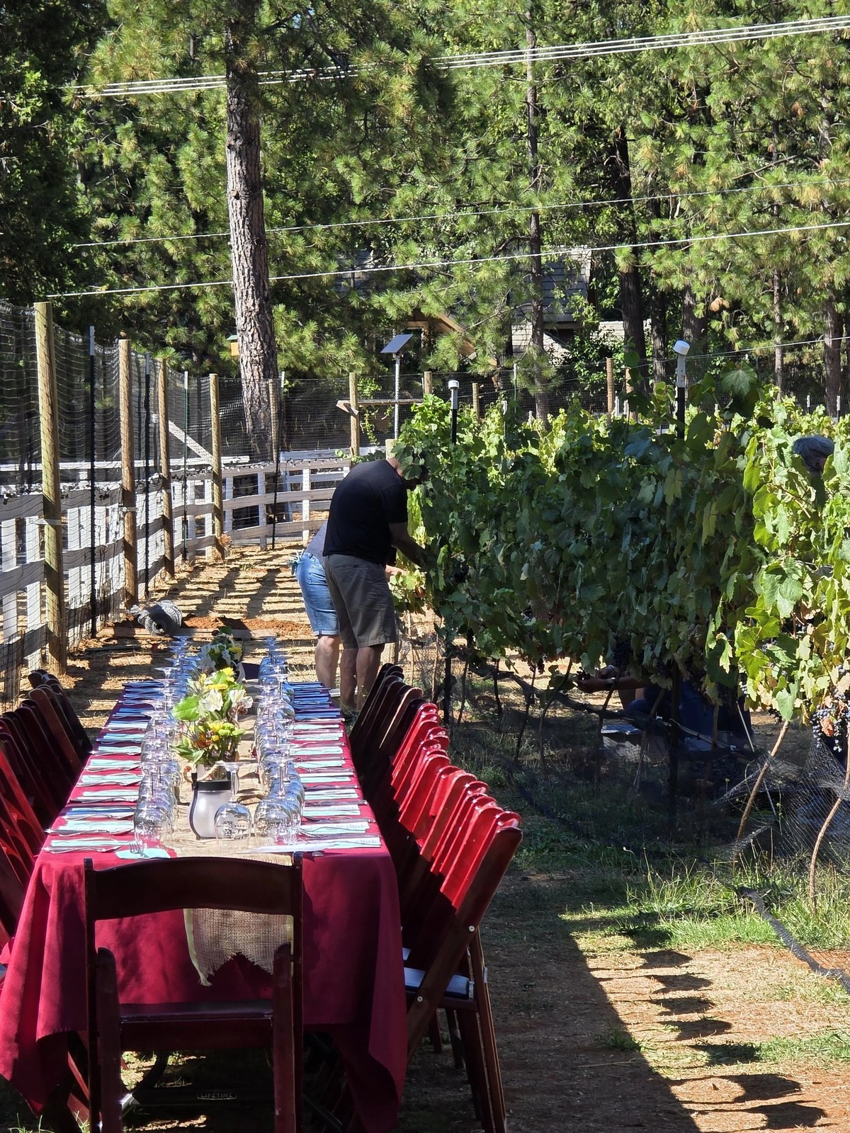Truckee River Winery
