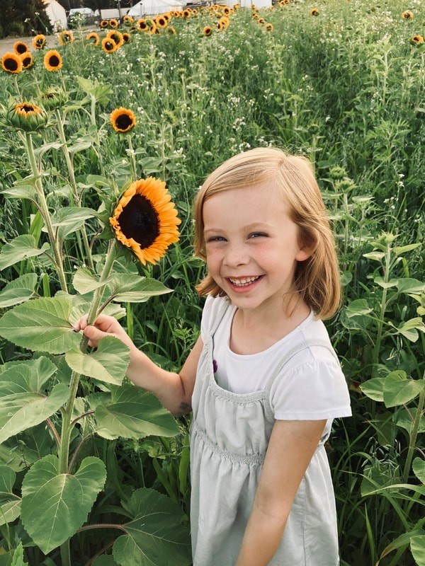 Country Mill Farms
