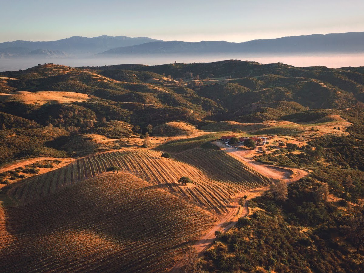 Brosseau Wine Studio