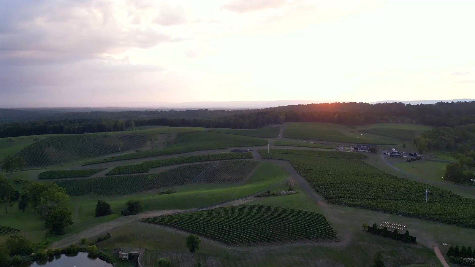Stone Tower Winery