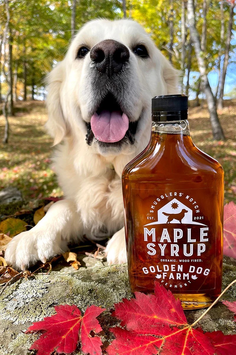 Golden Dog Farm Hospitality LLC