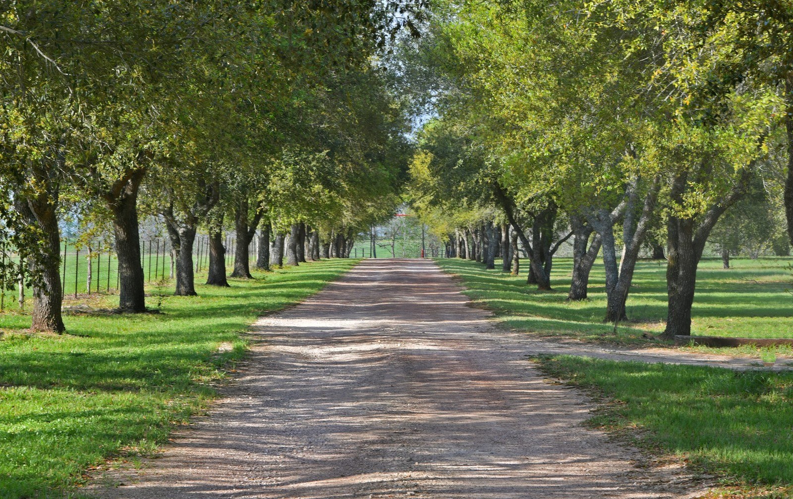 Threshold Vineyards, Inc.
