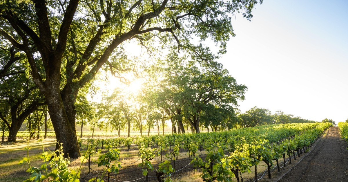 Serres Ranch Wine