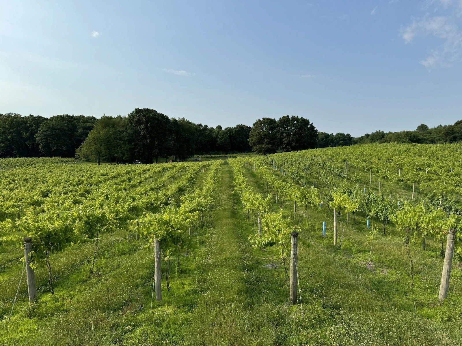 Lawton Ridge Winery