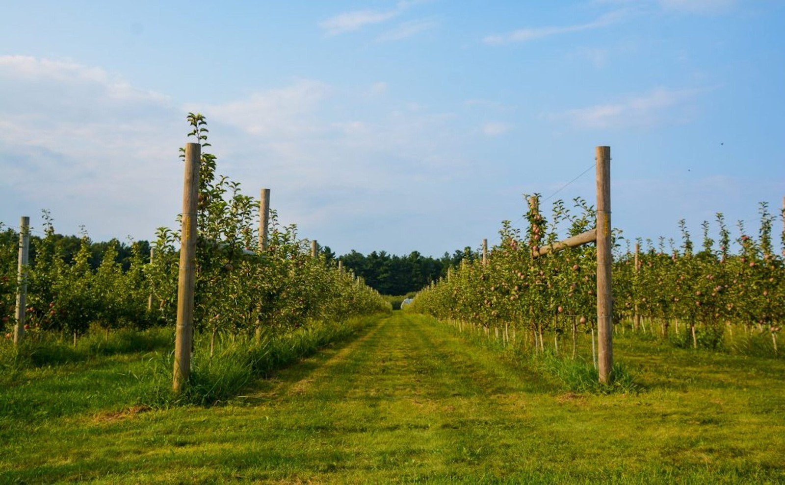 Carlson Orchards, Inc.