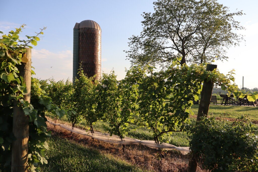 Stokelan Estate Winery