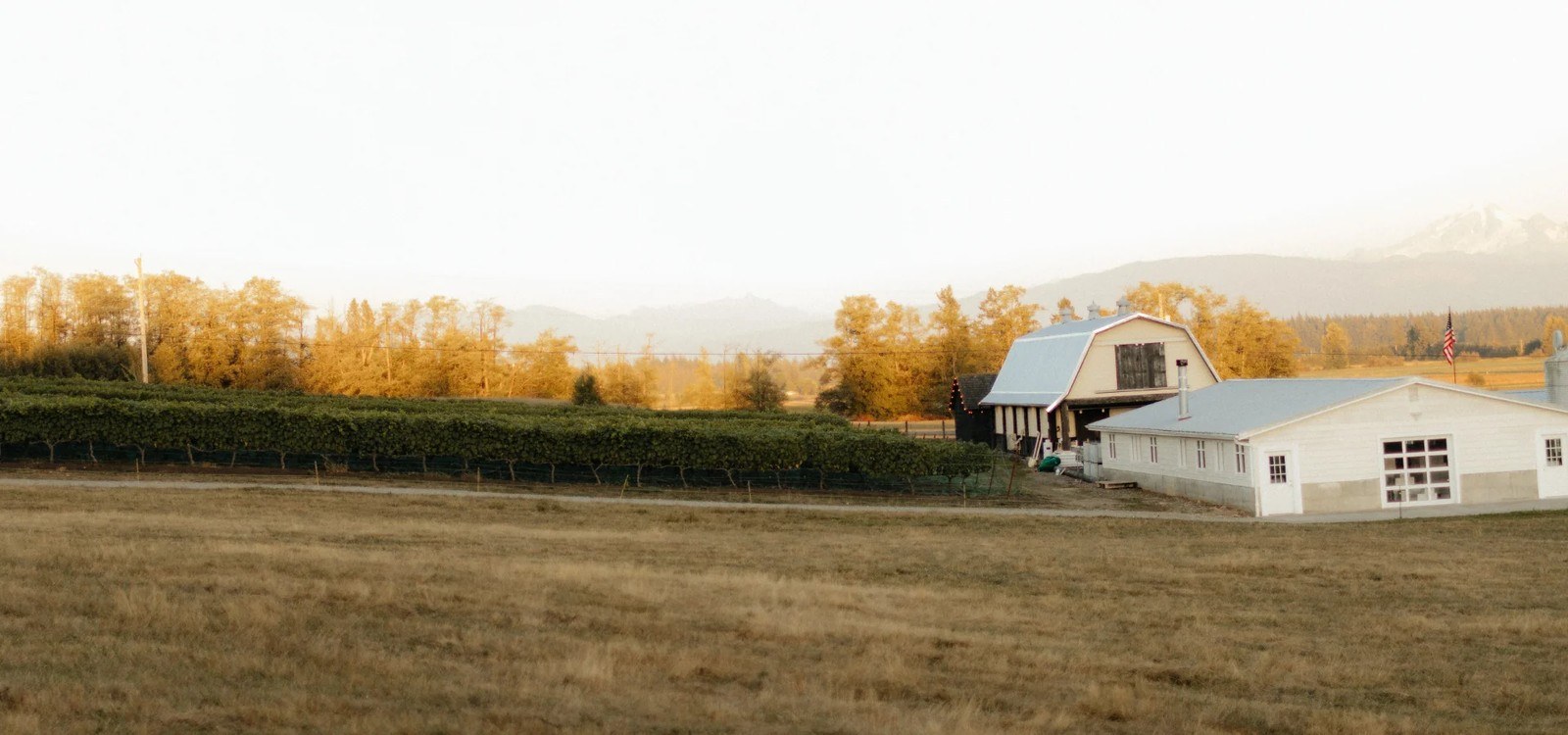 Van Vino Vineyards, LLC