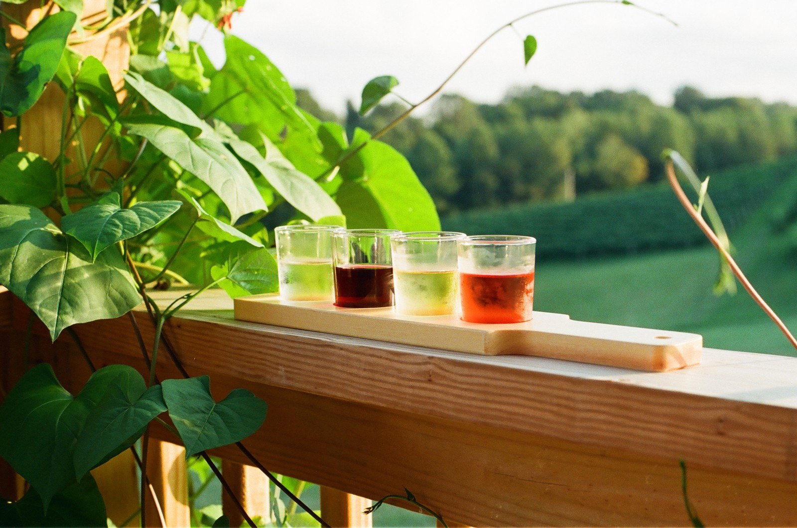 Le Petit Chevalier Farm Winery