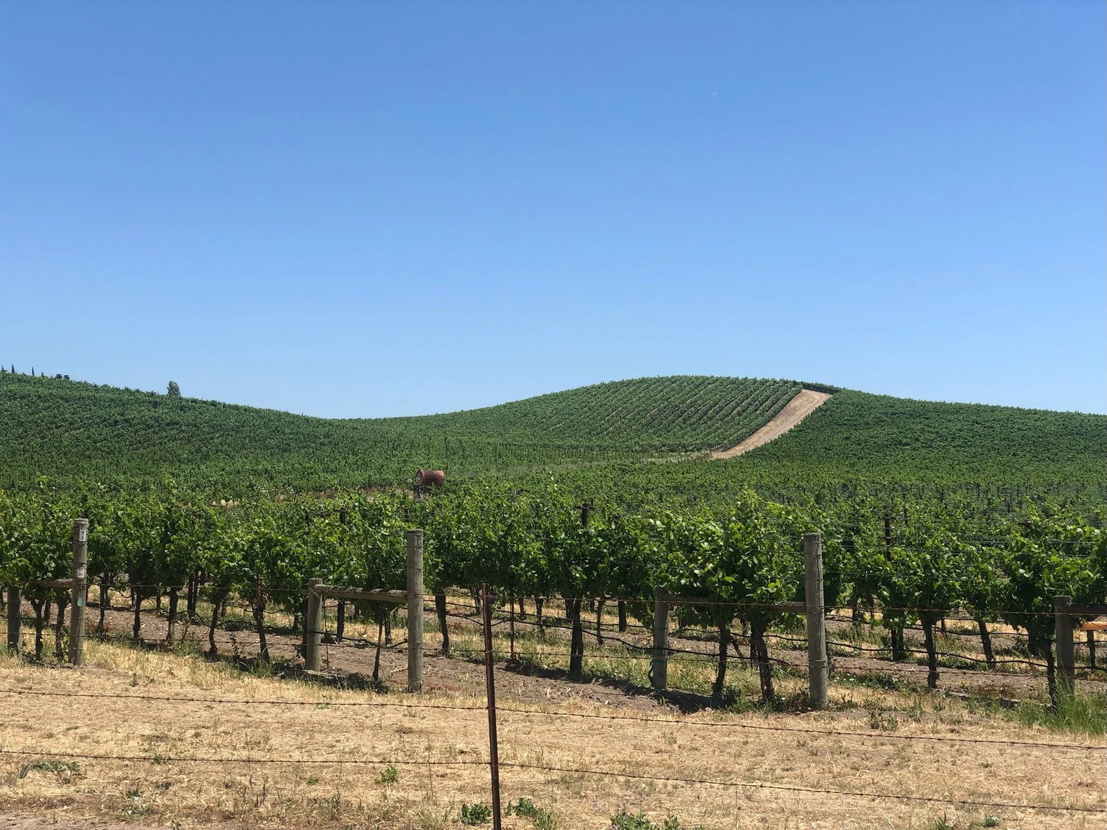 Cassidy Ranch