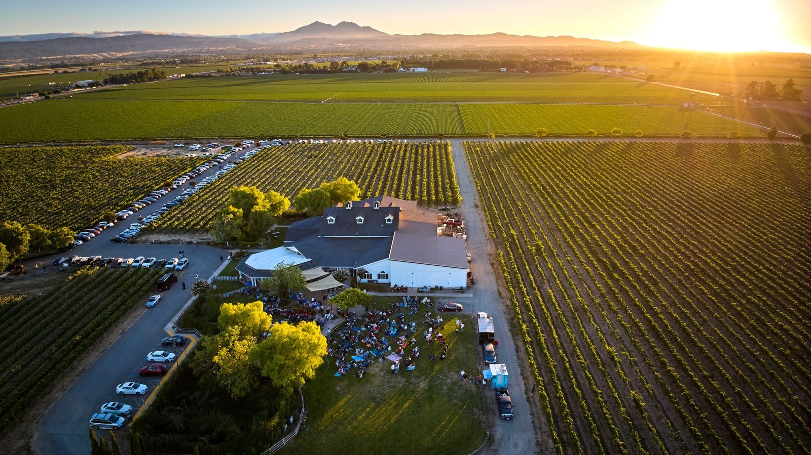 Hannah Nicole Vineyards