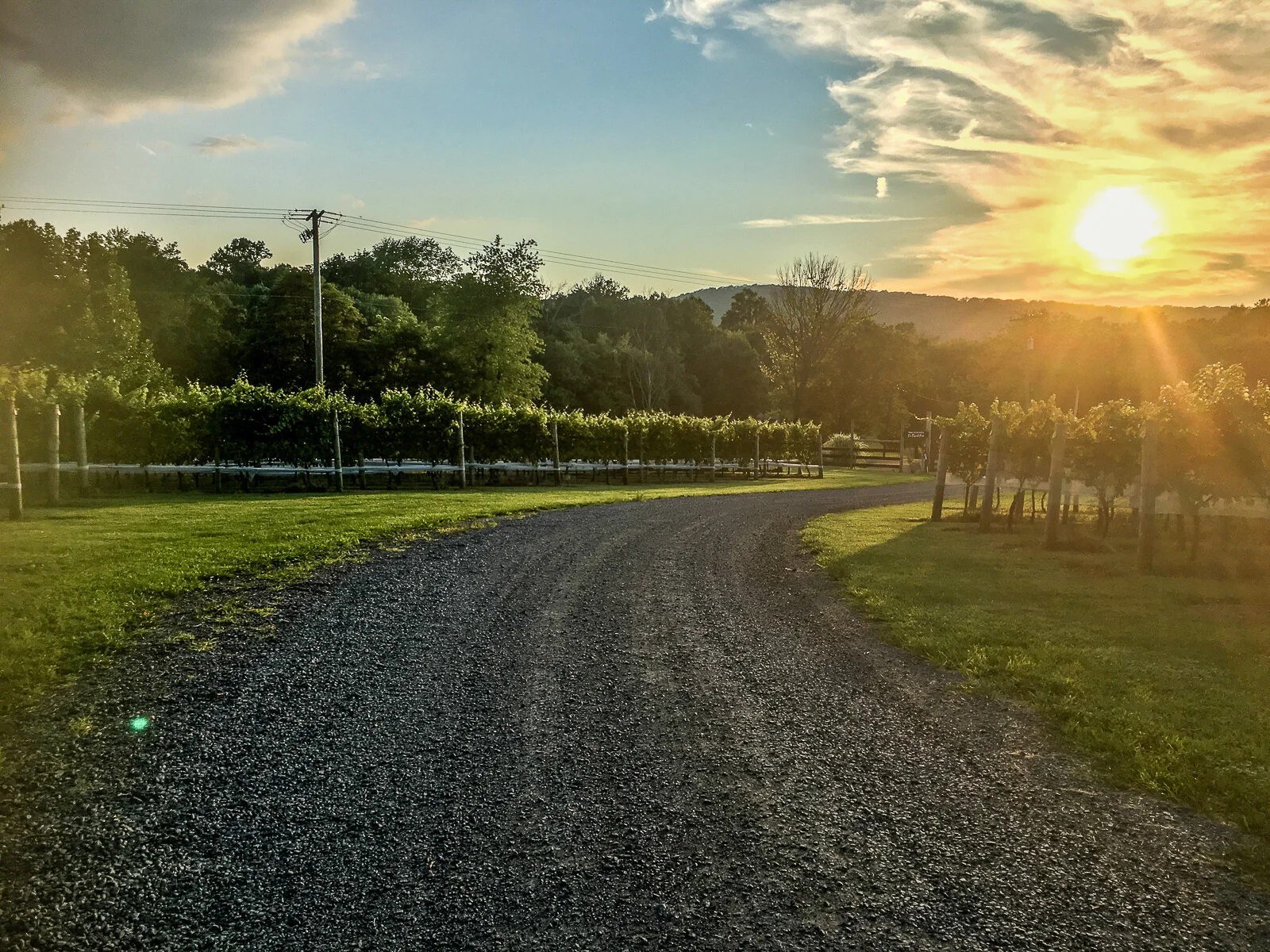 Two Twisted Posts Winery
