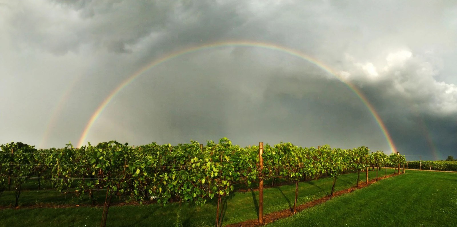 Millner Heritage Vineyard & Winery