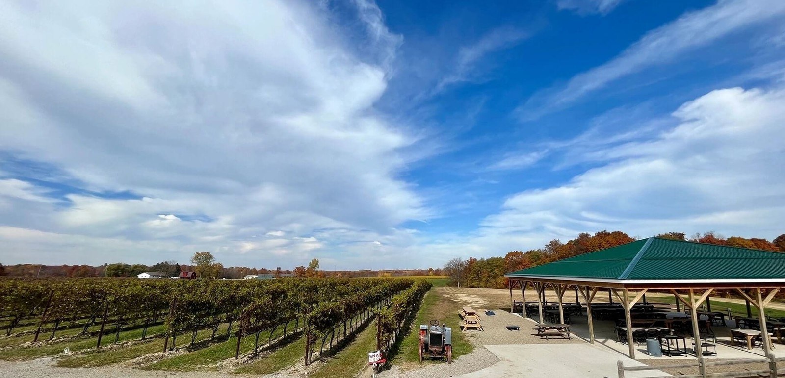 Kosicek Vineyards