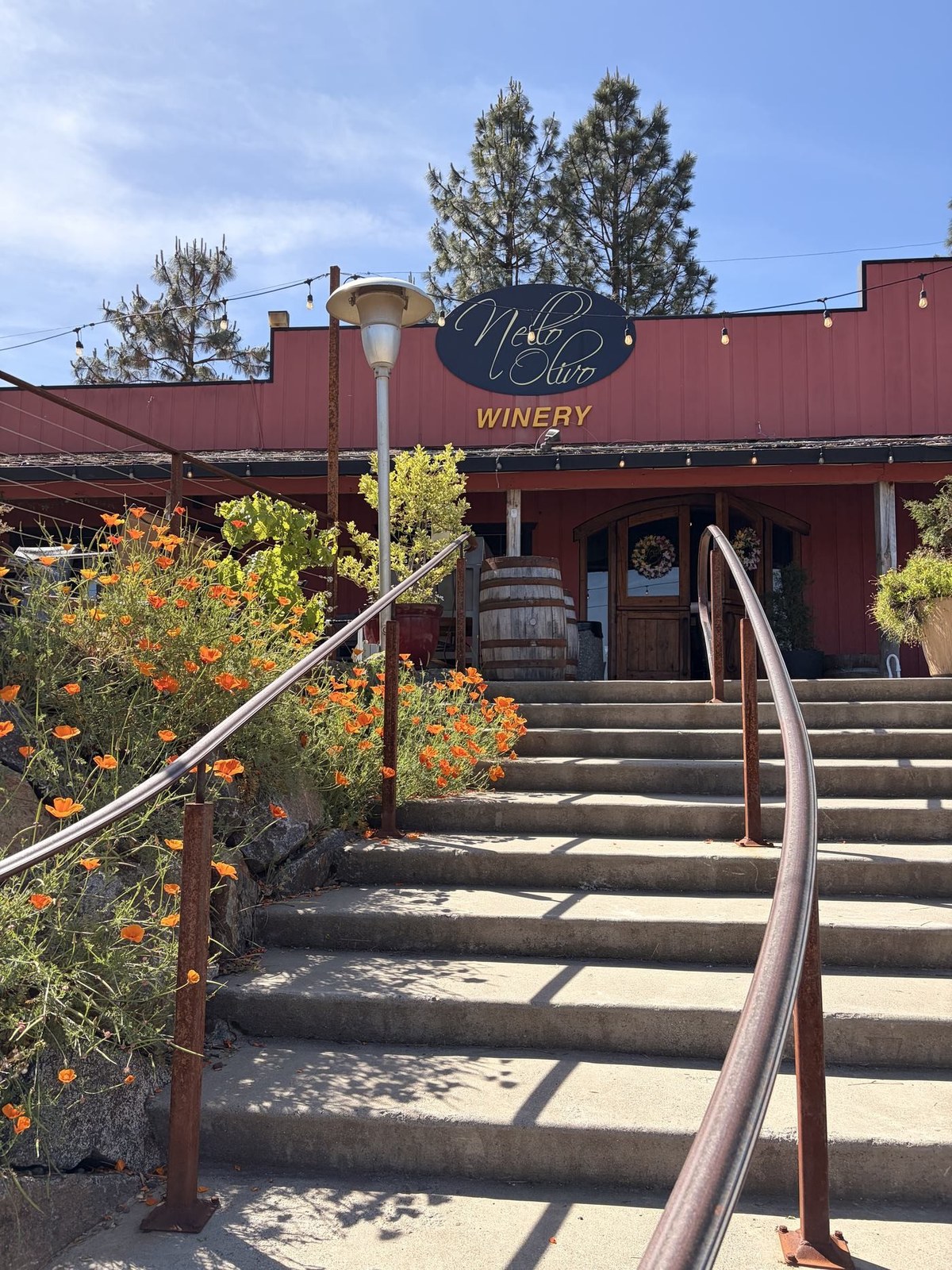Nello Olivo Winery