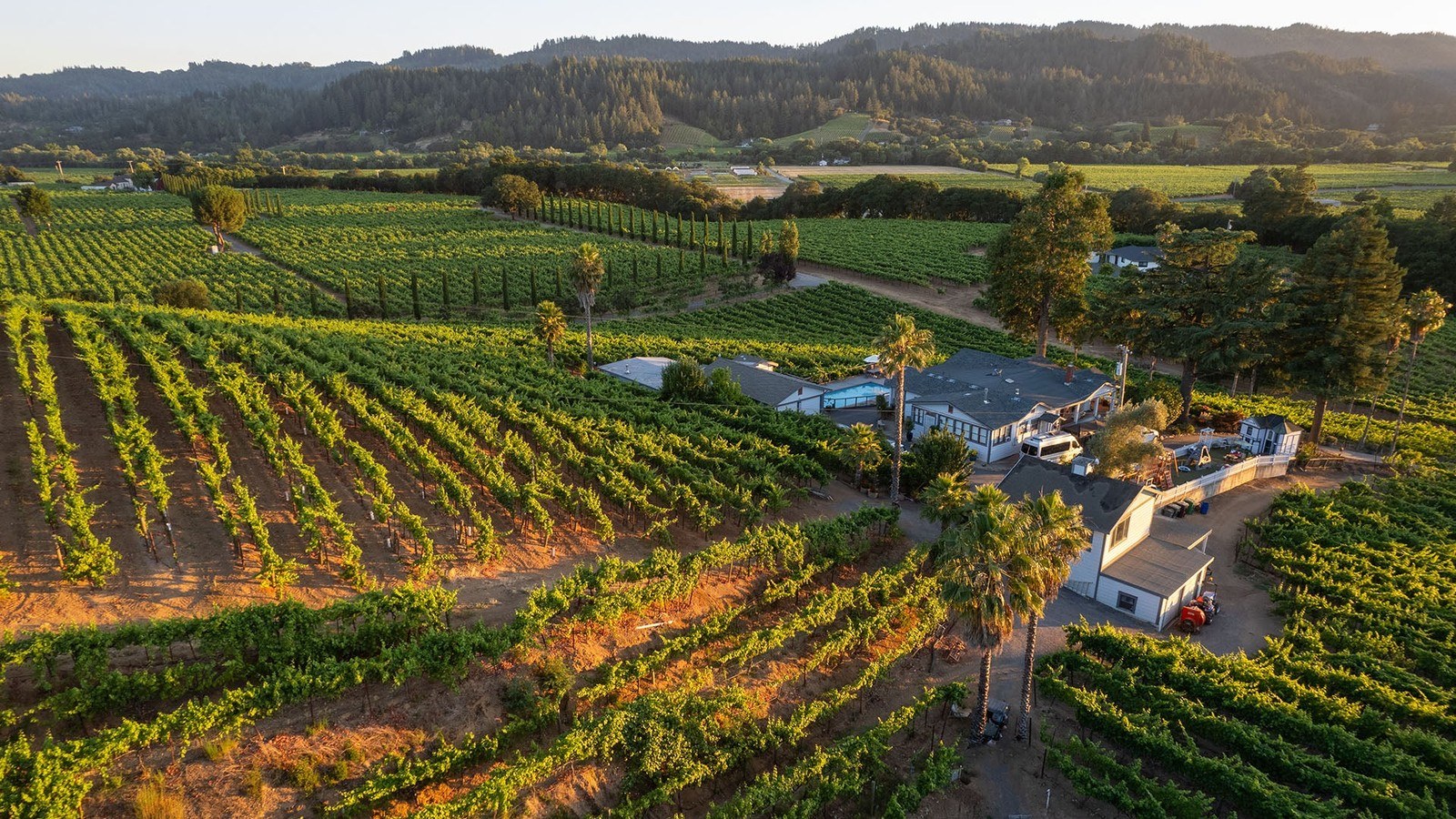 Rancho Maria Family Vineyards